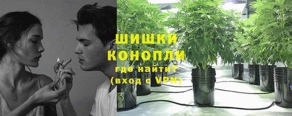 2c-b Богородицк