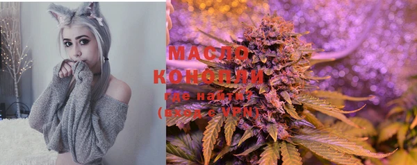 2c-b Богородицк